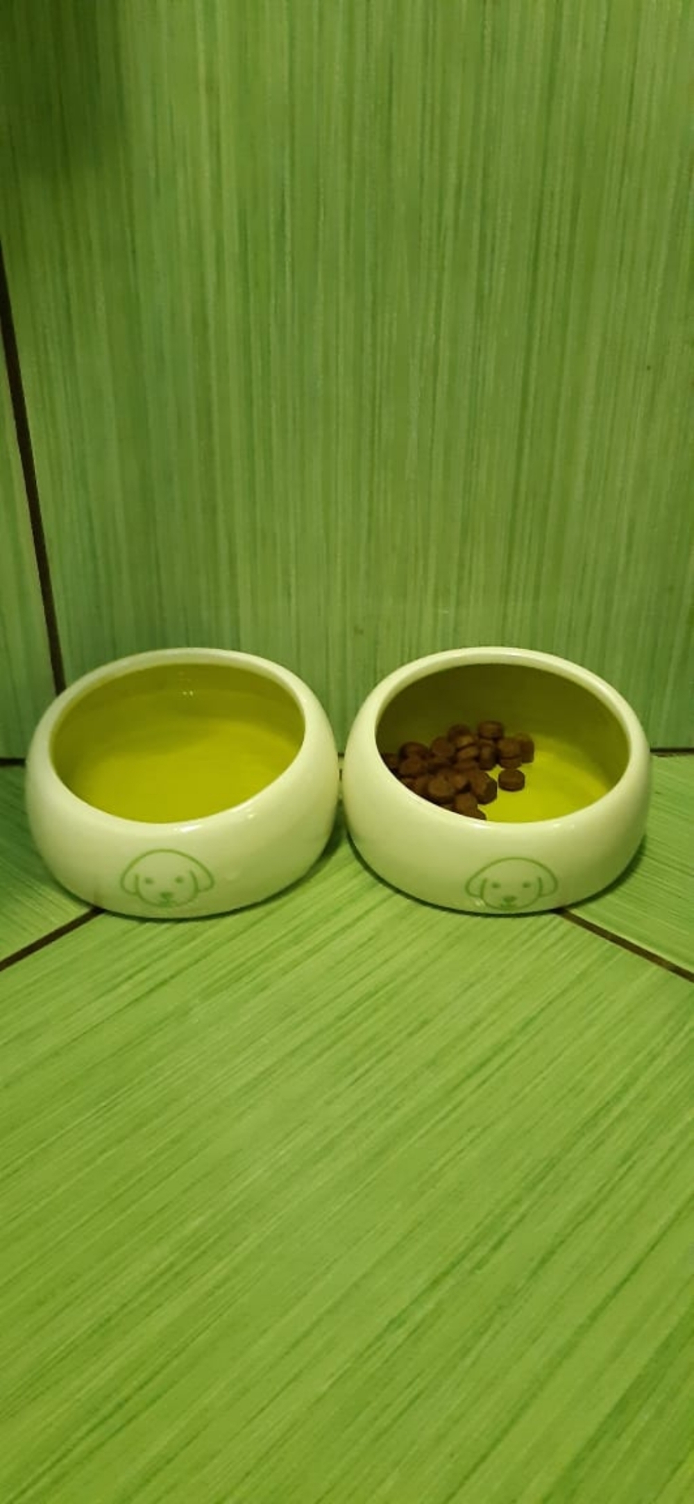 Фотография покупателя товара Миска керамическая со скошенным краем "Верный пес", 10,5 х 5,6 см, бело-зеленая - Фото 1