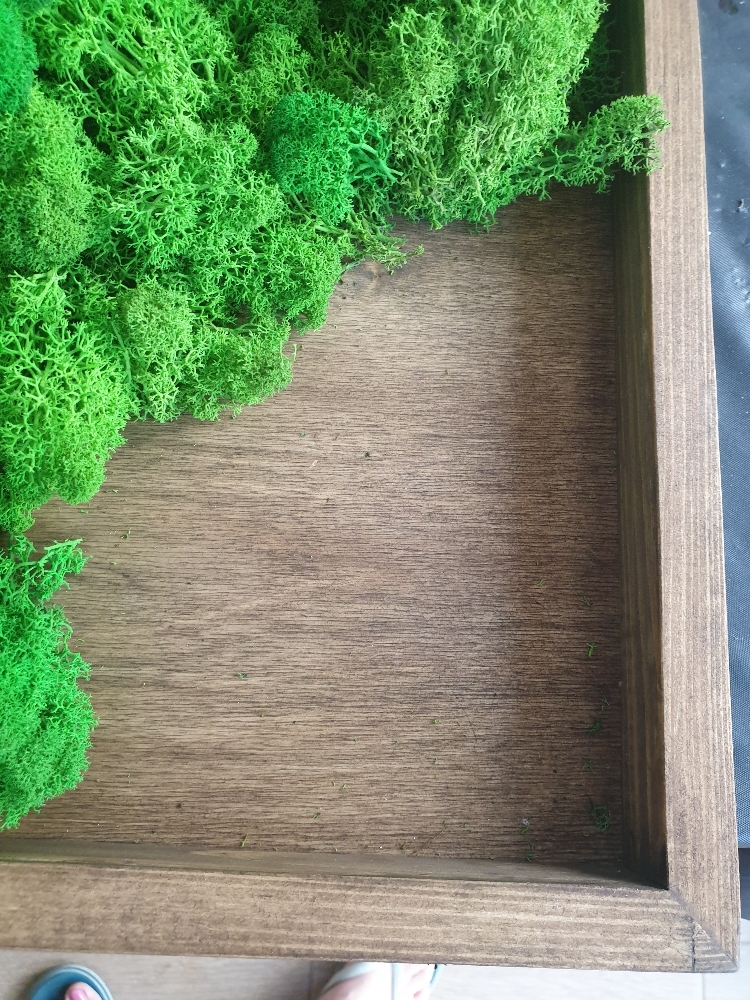 Фотография покупателя товара Планшет деревянный, с врезанной фанерой, 40 х 40 х 3,5 см, глубина 0.5 см, сосна - Фото 1