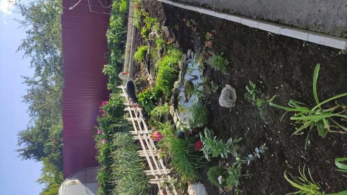 Фотография покупателя товара Садовая фигура из полистоуна «Розовый фламинго», 49×14×23 см - Фото 2