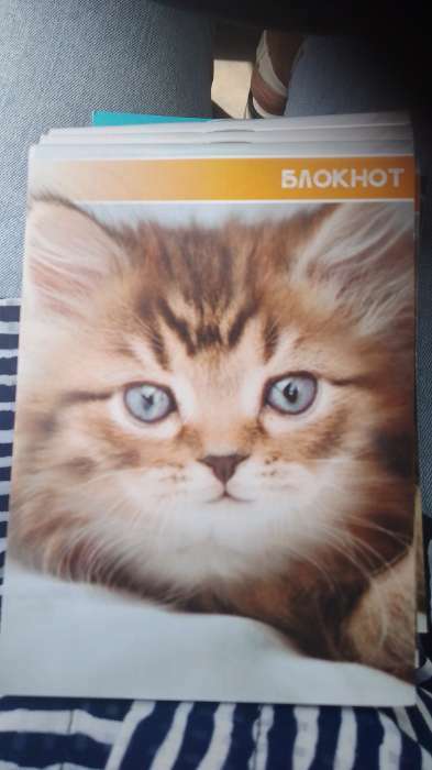 Фотография покупателя товара Блокнот А6, 40 листов в клетку на скрепке "Котята и щенята", обложка мелованная бумага, МИКС