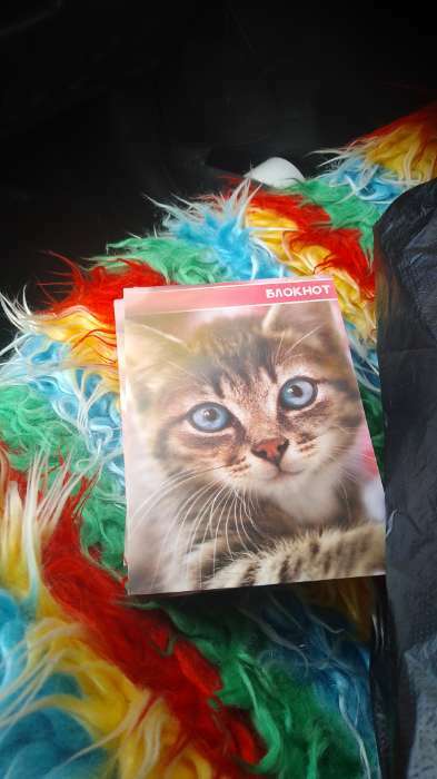 Фотография покупателя товара Блокнот А6, 40 листов в клетку на скрепке "Котята и щенята", обложка мелованная бумага, МИКС - Фото 5