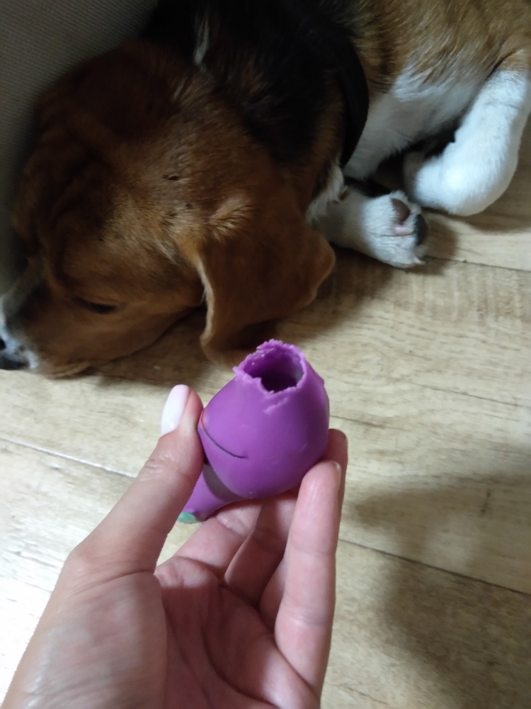 Фотография покупателя товара Игрушка пищащая "Баклажан" для собак, 13,5 см, фиолетовая - Фото 1