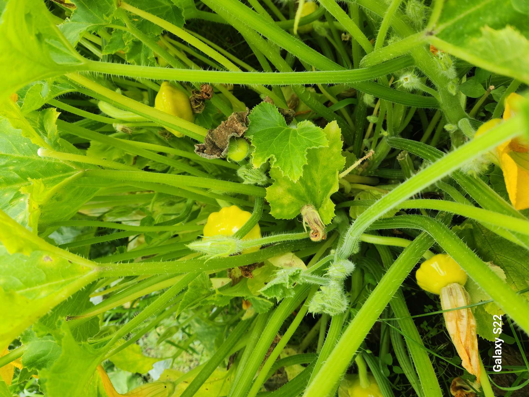 Фотография покупателя товара Средство от садовых муравьев Муравьед Туба 120 г - Фото 3