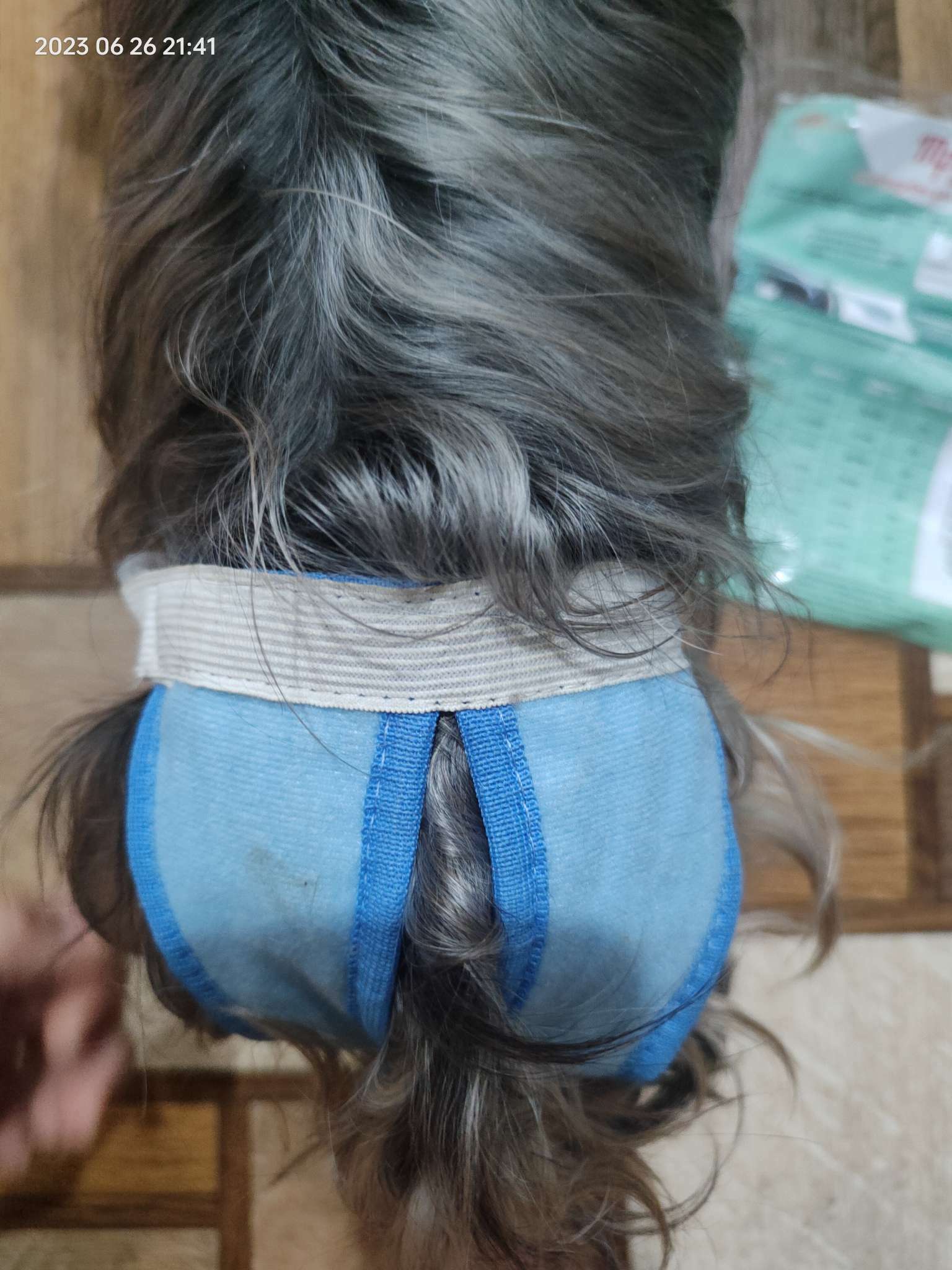 Фотография покупателя товара Трусы для собак многоразовые OSSO ABSORB, размер XXS - Фото 2