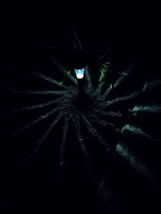 Фотография покупателя товара Садовый светильник на солнечной батарее «Трапеция», 4.5 × 30 × 4.5 см, 1 LED, свечение белое - Фото 14