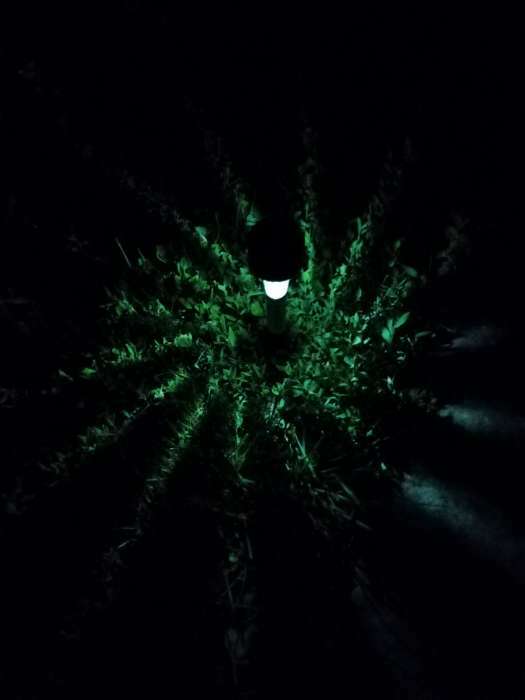 Фотография покупателя товара Садовый светильник на солнечной батарее «Трапеция», 4.5 × 30 × 4.5 см, 1 LED, свечение белое - Фото 20