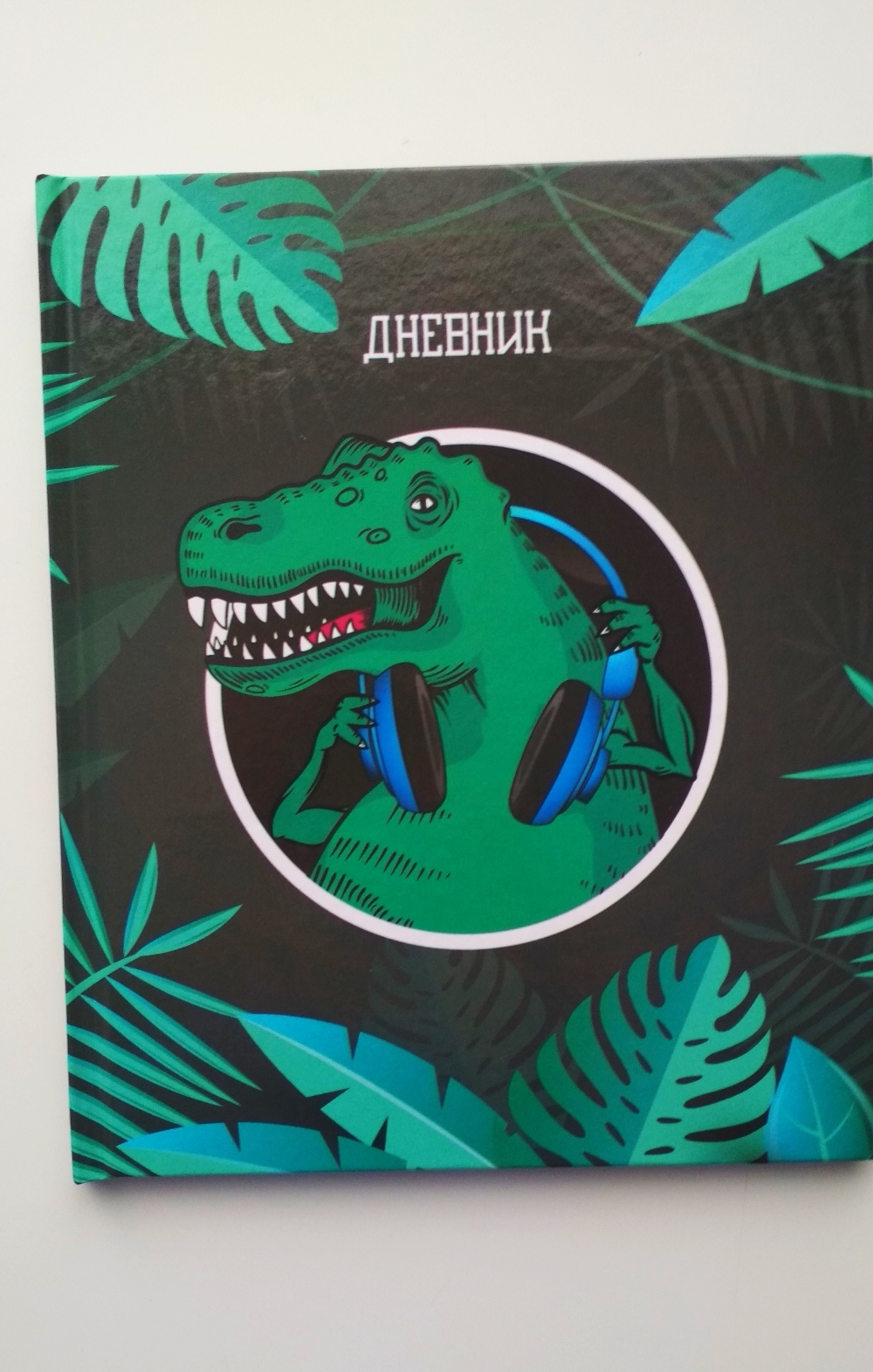Фотография покупателя товара Дневник школьника 1-4 класс «Динозавр 1», твёрдая обложка, глянцевая ламинация, 48 листов - Фото 5