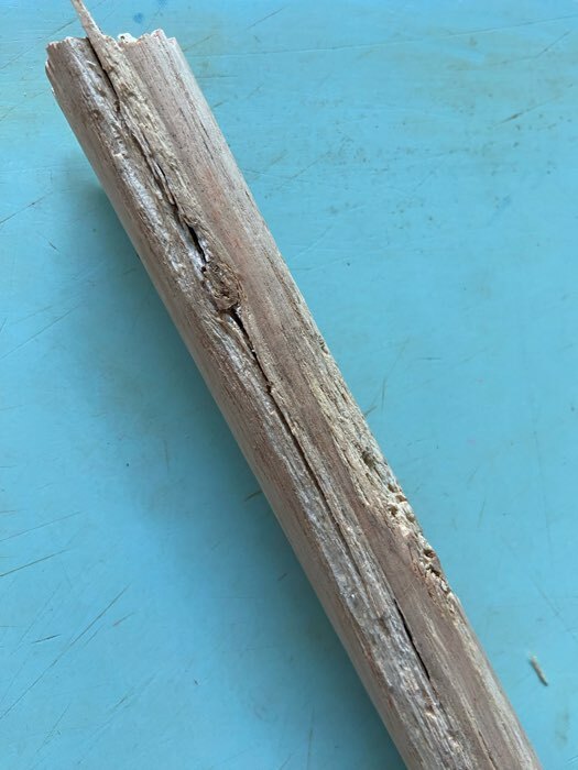 Фотография покупателя товара Черенок деревянный в ПВХ оплетке Доляна, 120 см, цвет МИКС