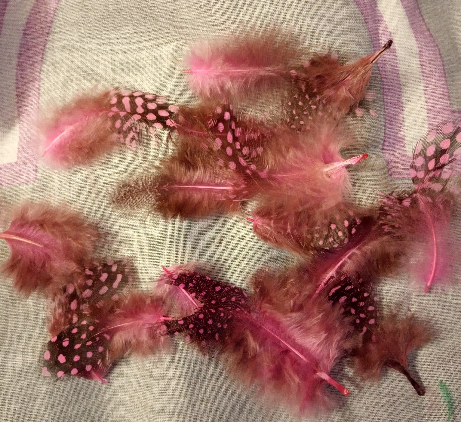 Фотография покупателя товара Набор перьев для декора 10 шт., размер 1 шт: 5 × 2 см, цвет коричневый с белым - Фото 12