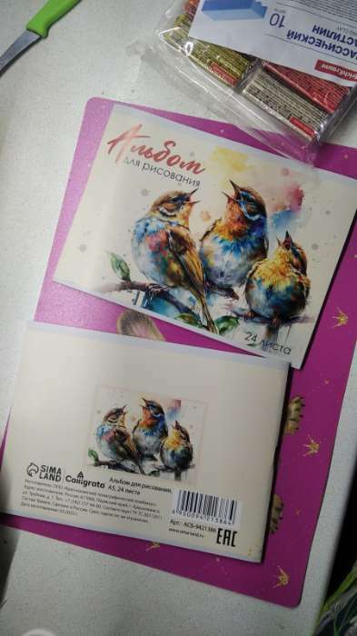 Фотография покупателя товара Альбом для рисования А5, 24 листа на скрепке "Воробушки", бумажная обложка, блок 100 г/м2 - Фото 1
