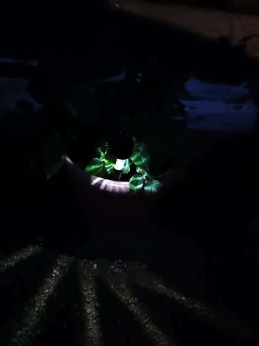 Фотография покупателя товара Садовый светильник на солнечной батарее «Трапеция», 4.5 × 30 × 4.5 см, 1 LED, свечение белое - Фото 60