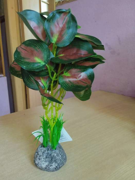 Фотография покупателя товара Растение аквариумное «В горшочке», 31×23×19 см - Фото 1