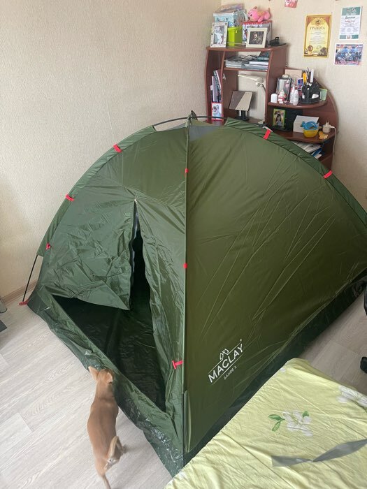 Фотография покупателя товара Палатка туристическая 3-местная maclay fisht se 3, 205×180×120 см, трекинговая, однослойная, цвет МИКС - Фото 1