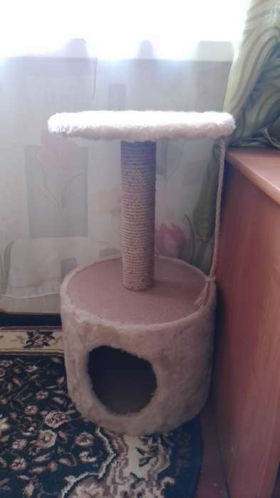 Фотография покупателя товара Домик для кошек с когтеточкой круглый, джут, 35 х 35 х 64 см, бежевый - Фото 1
