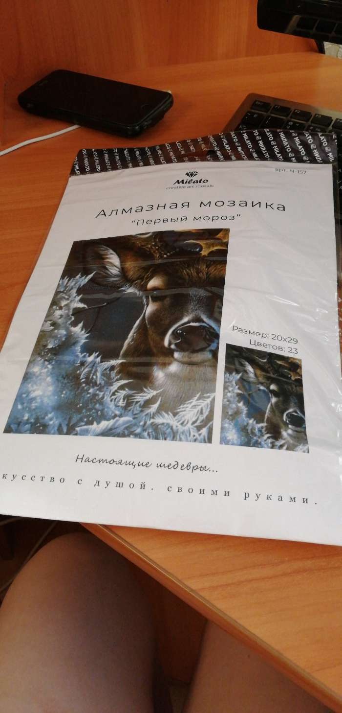 Фотография покупателя товара Алмазная мозаика «Первый мороз» 20 × 29 см, 23 цветов