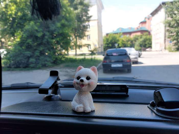 Фотография покупателя товара Собака на панель авто, качающая головой, шпиц - Фото 3