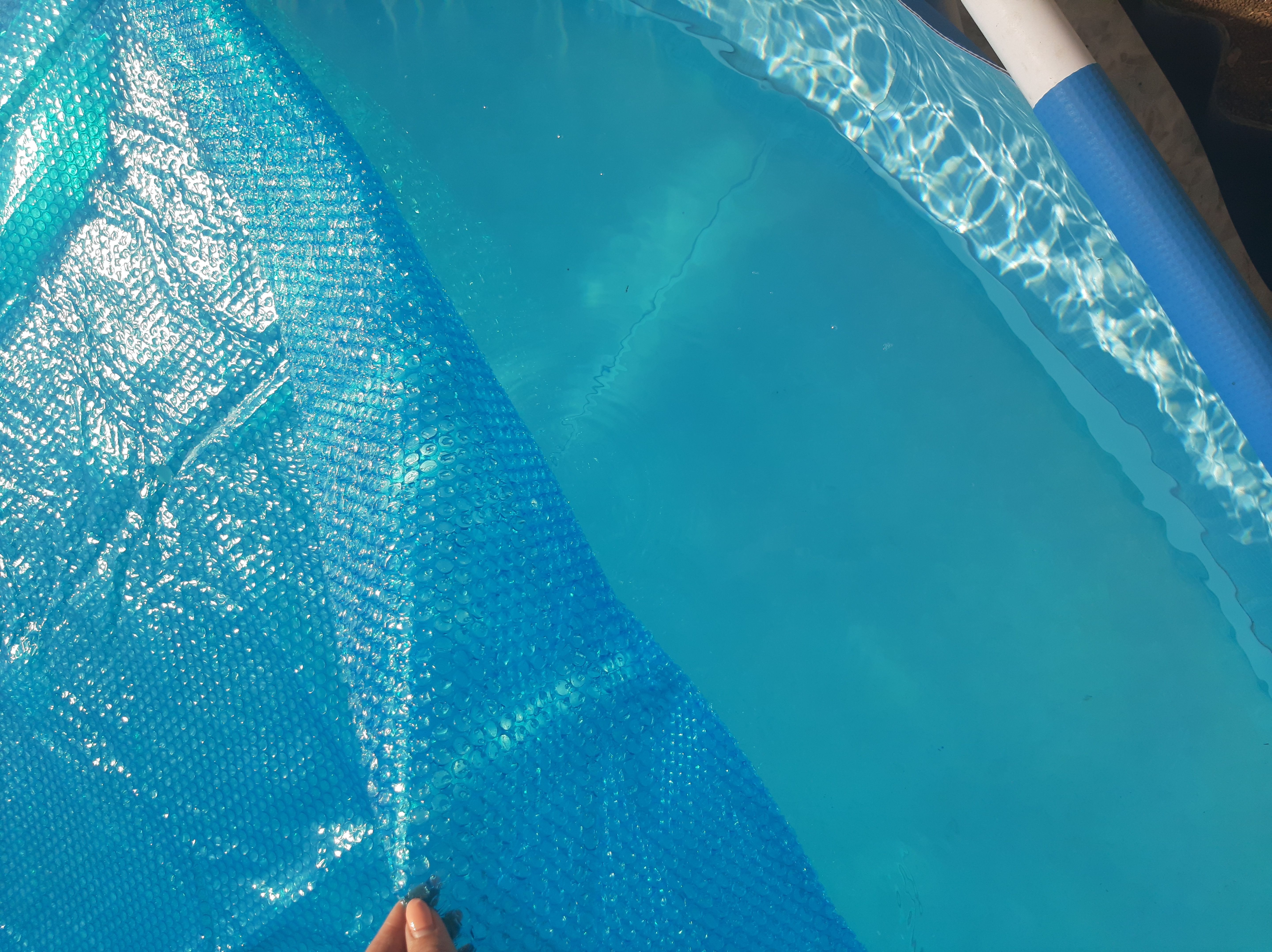 Фотография покупателя товара Тент прозрачный для бассейнов d=366 см, 29022 INTEX