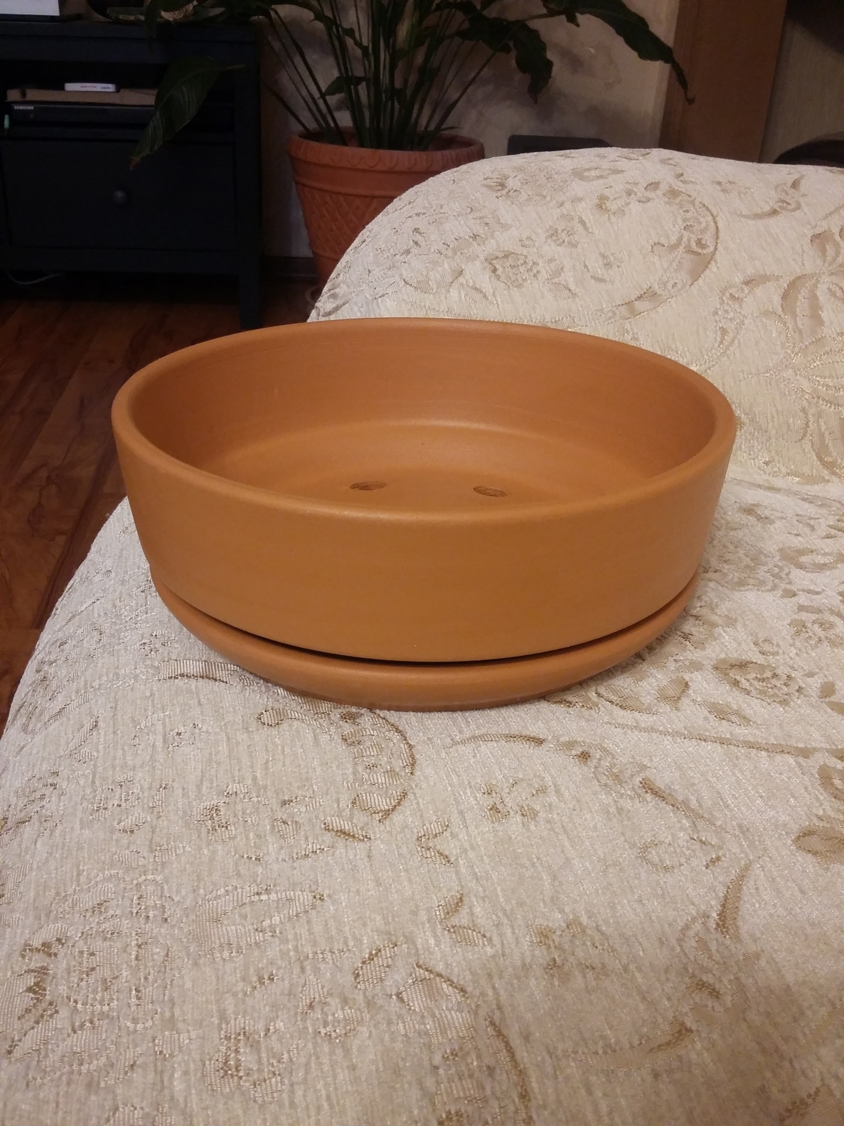 Фотография покупателя товара Горшок - бонсайница «Огма», для кактусов и суккулентов, 3 л, d=26 см, h=8 см, керамика, с поддоном, белый - Фото 32