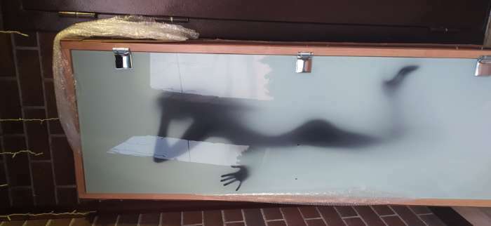Фотография покупателя товара Дверь стеклянная, размер коробки 190 × 70 см, 8 мм, с фотопечатью, левая - Фото 1