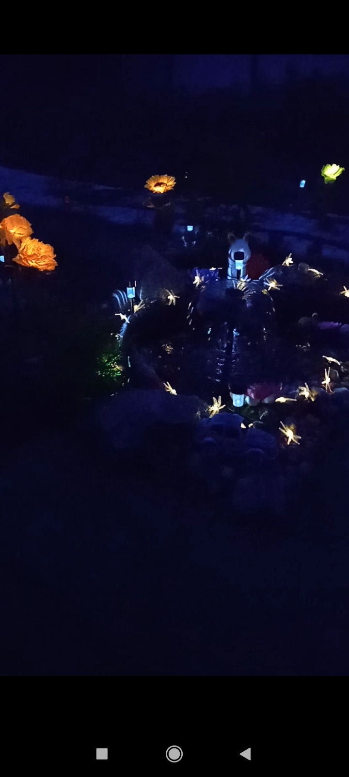 Фотография покупателя товара Садовый светильник на солнечной батарее «Хризантема», 70 см, 31 LED, свечение тёплое белое - Фото 1