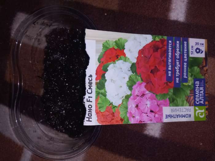 Фотография покупателя товара Семена цветов Пеларгония "Нано", "Cмесь", 3 шт
