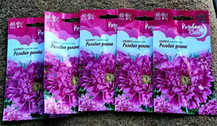 Фотография покупателя товара Семена цветов Космея "Розовая долина", махровая, серия Розовые сны,  0,05 г - Фото 1