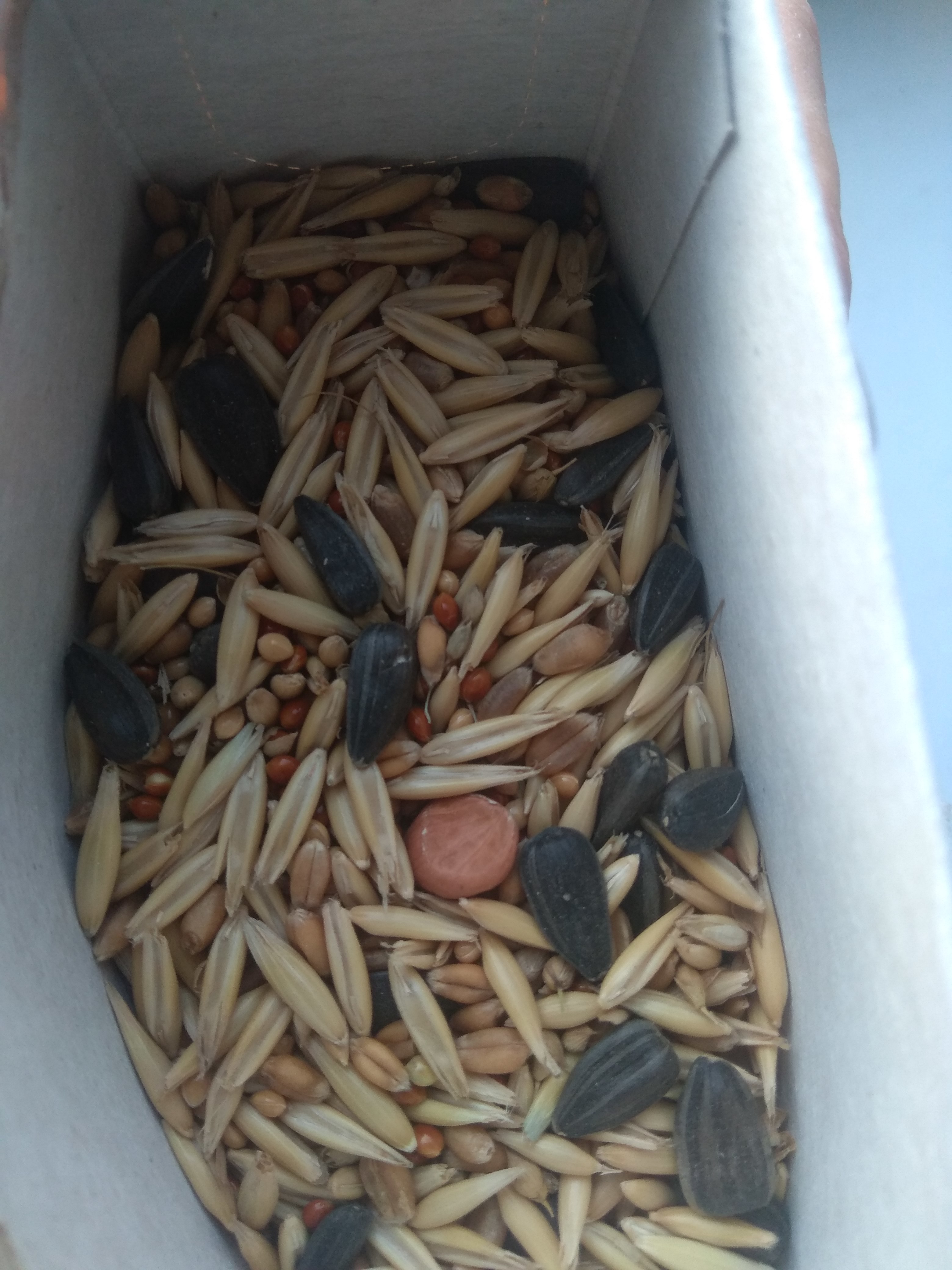 Фотография покупателя товара Корм зерновой "Мышильд стандарт" для декоративных хомяков, с орехами, 500 г, коробка