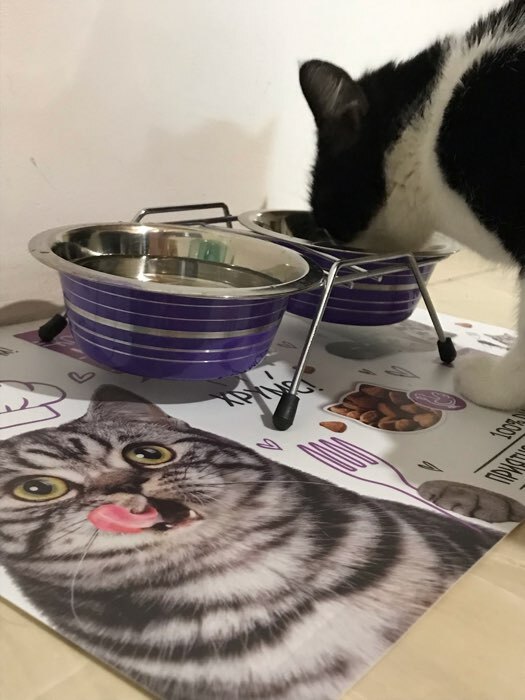 Фотография покупателя товара Коврик под миску «Кот не работает, кот ест!» 43х28 см - Фото 3