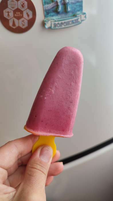 Фотография покупателя товара Форма для мороженого Доляна «Кьют», 10×6×13 см, 4 ячейки, цвет МИКС - Фото 3