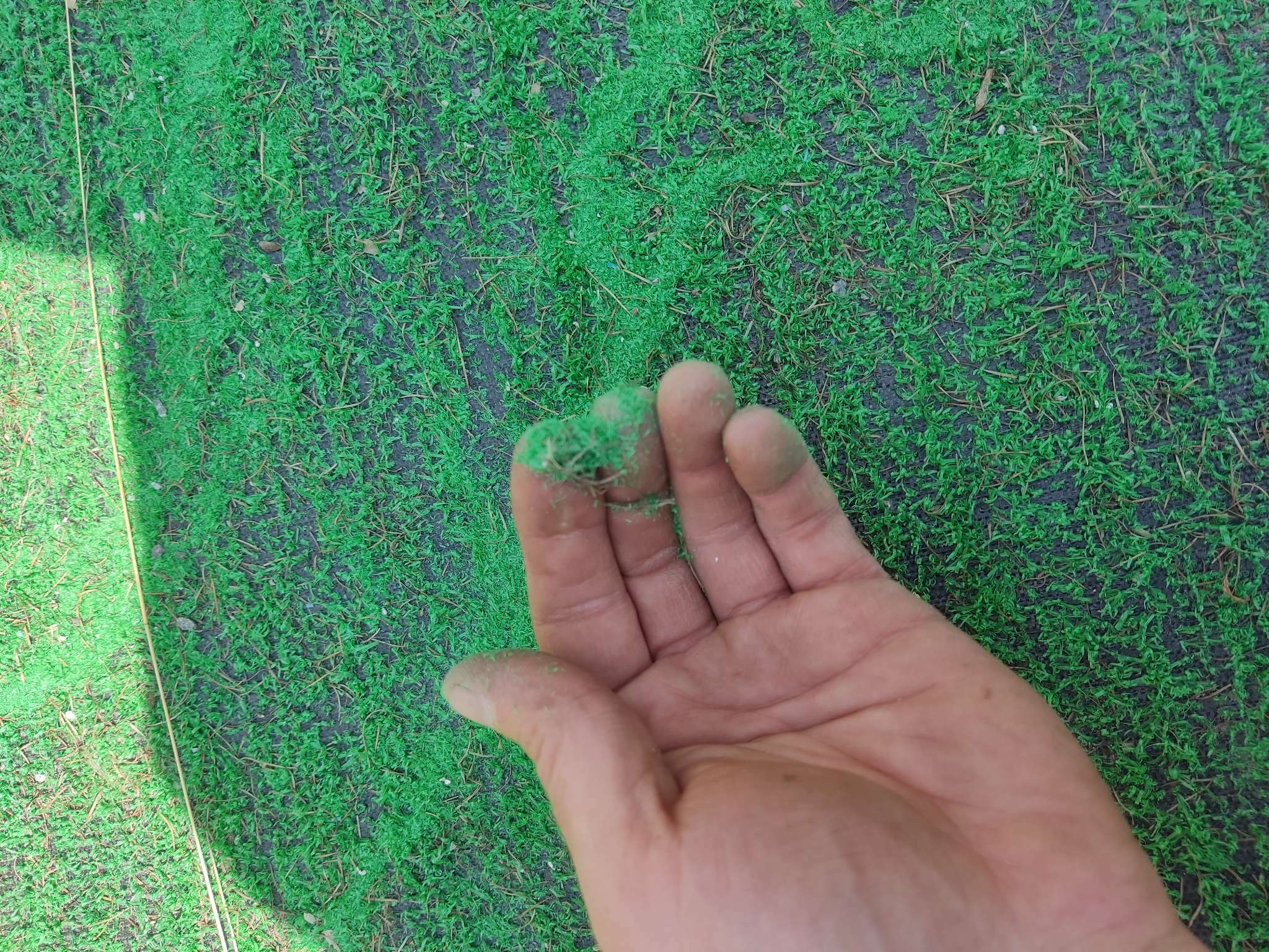 Фотография покупателя товара Газон искусственный, ворс 10 мм, 2 × 10 м, светло-зелёный, Greengo
