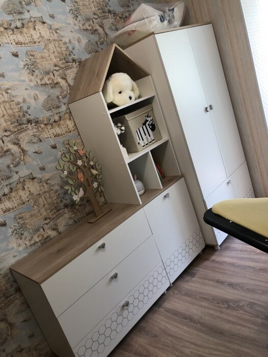 Фотография покупателя товара Шкаф для одежды «Эйп 13.334», 2 ящика, 850×511×1838 мм, цвет белый/дуб белый - Фото 1