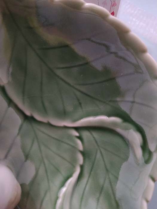 Фотография покупателя товара Блюдо керамическое «Птички на листочке», 19×13×4 см, цвет зелёный - Фото 5