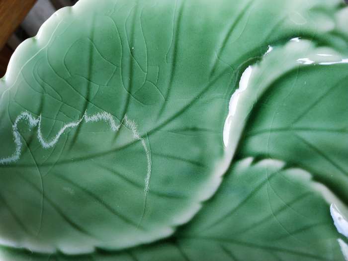 Фотография покупателя товара Блюдо керамическое «Птички на листочке», 19×13×4 см, цвет зелёный - Фото 8