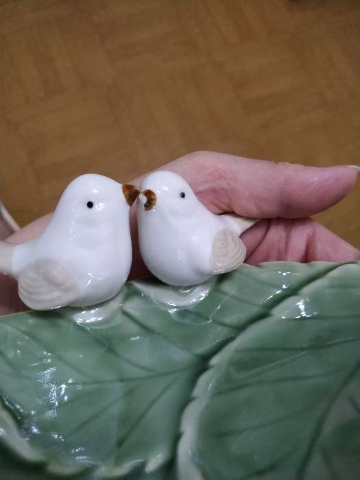 Фотография покупателя товара Блюдо керамическое «Птички на листочке», 19×13×4 см, цвет зелёный - Фото 9