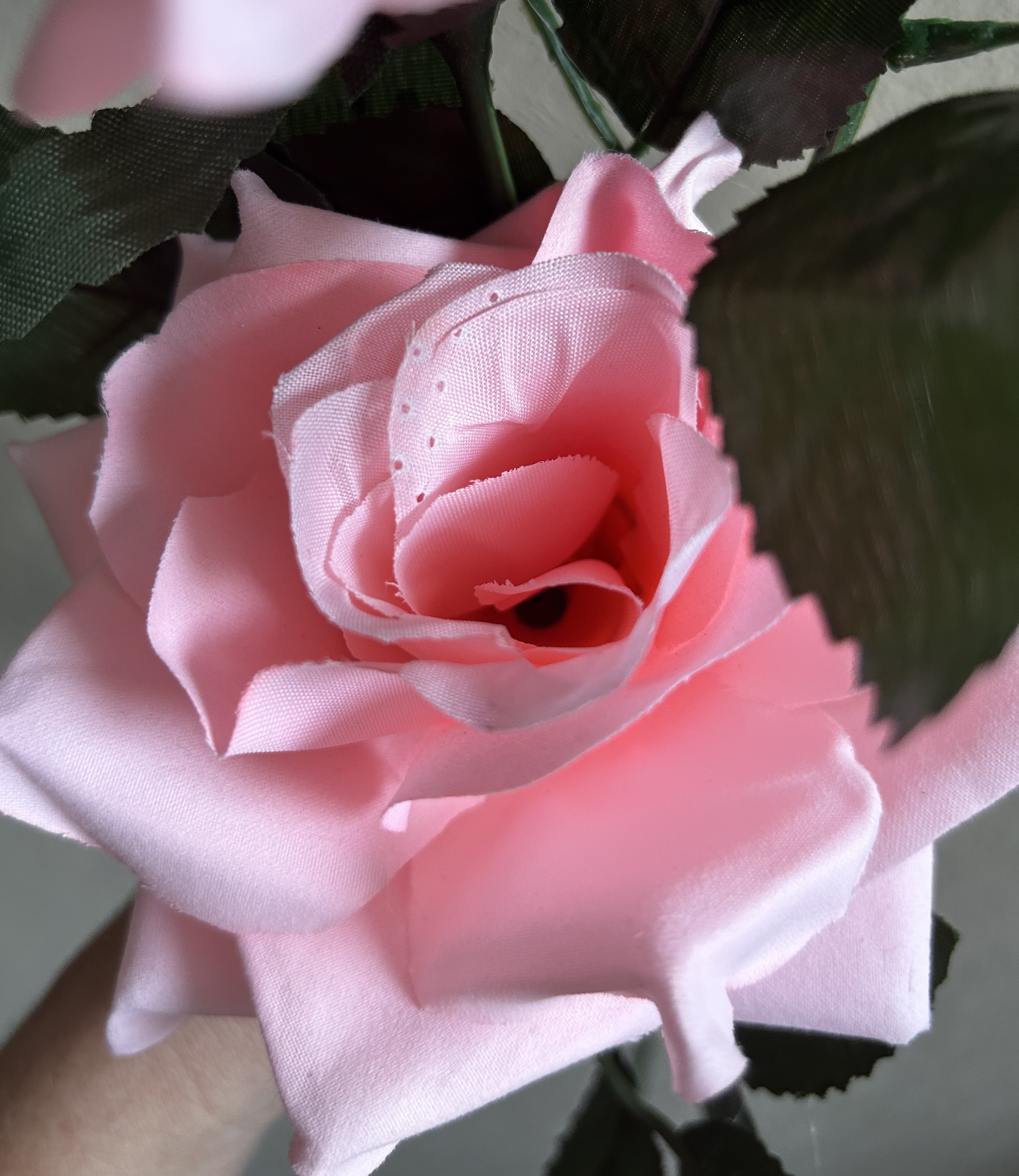Фотография покупателя товара Цветы искусственные "Роза акварель" 75 см, розовый - Фото 2