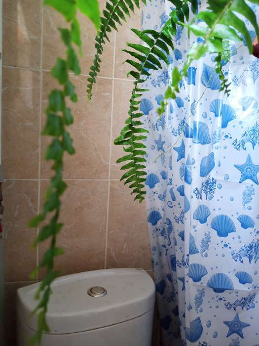 Фотография покупателя товара Штора для ванной «Ракушки», 180×180 см, цвет белый - Фото 1