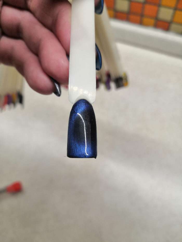 Фотография покупателя товара Гель-лак для ногтей 3D, трёхфазный LED/UV, под магнит, 10мл, цвет 19-034 синий
