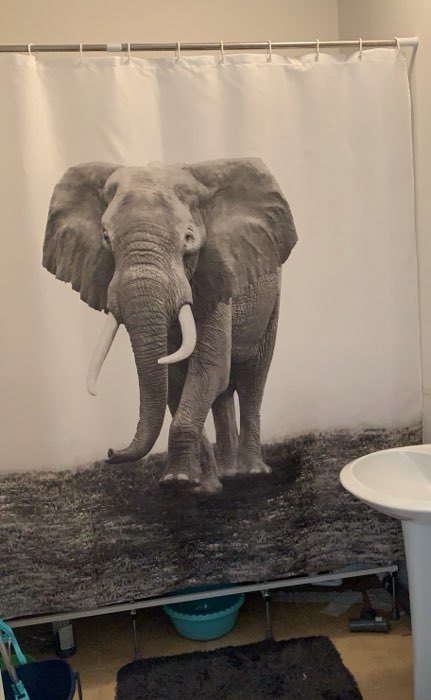 Фотография покупателя товара Штора для ванны Доляна «Слон», 180×180 см - Фото 4