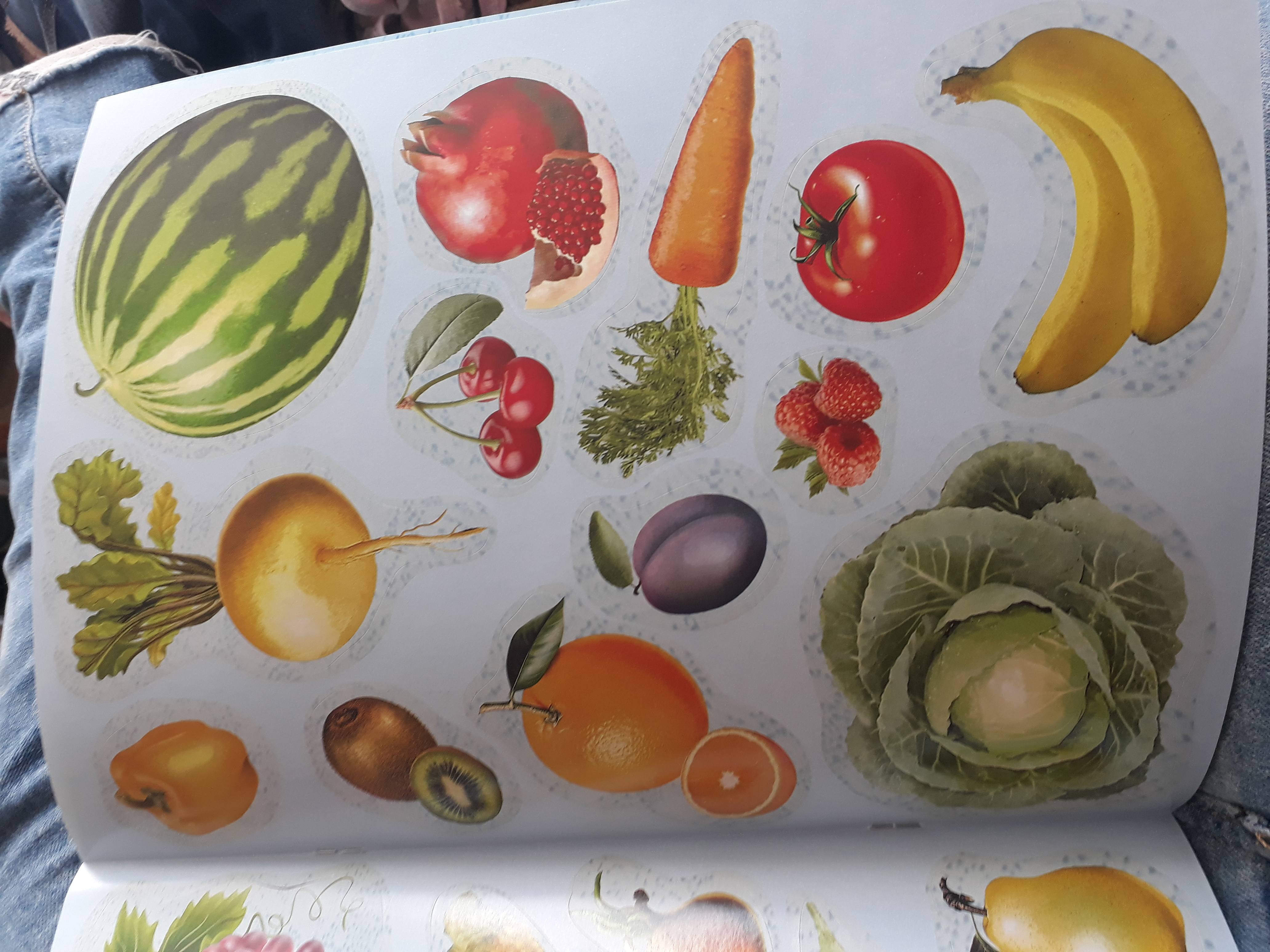 Фотография покупателя товара Книжка с наклейками «Овощи, фрукты, ягоды»