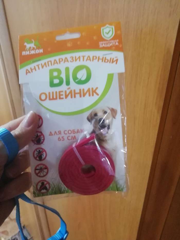 Фотография покупателя товара Биоошейник от паразитов "ПИЖОН" для собак от блох и клещей, зелёный, 65 см - Фото 4