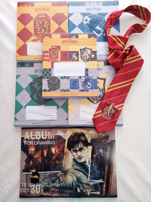 Фотография покупателя товара Тетрадь 18 листoв, в клетку, "Гарри Поттер", обложка мелованный картон, МИКС - Фото 1