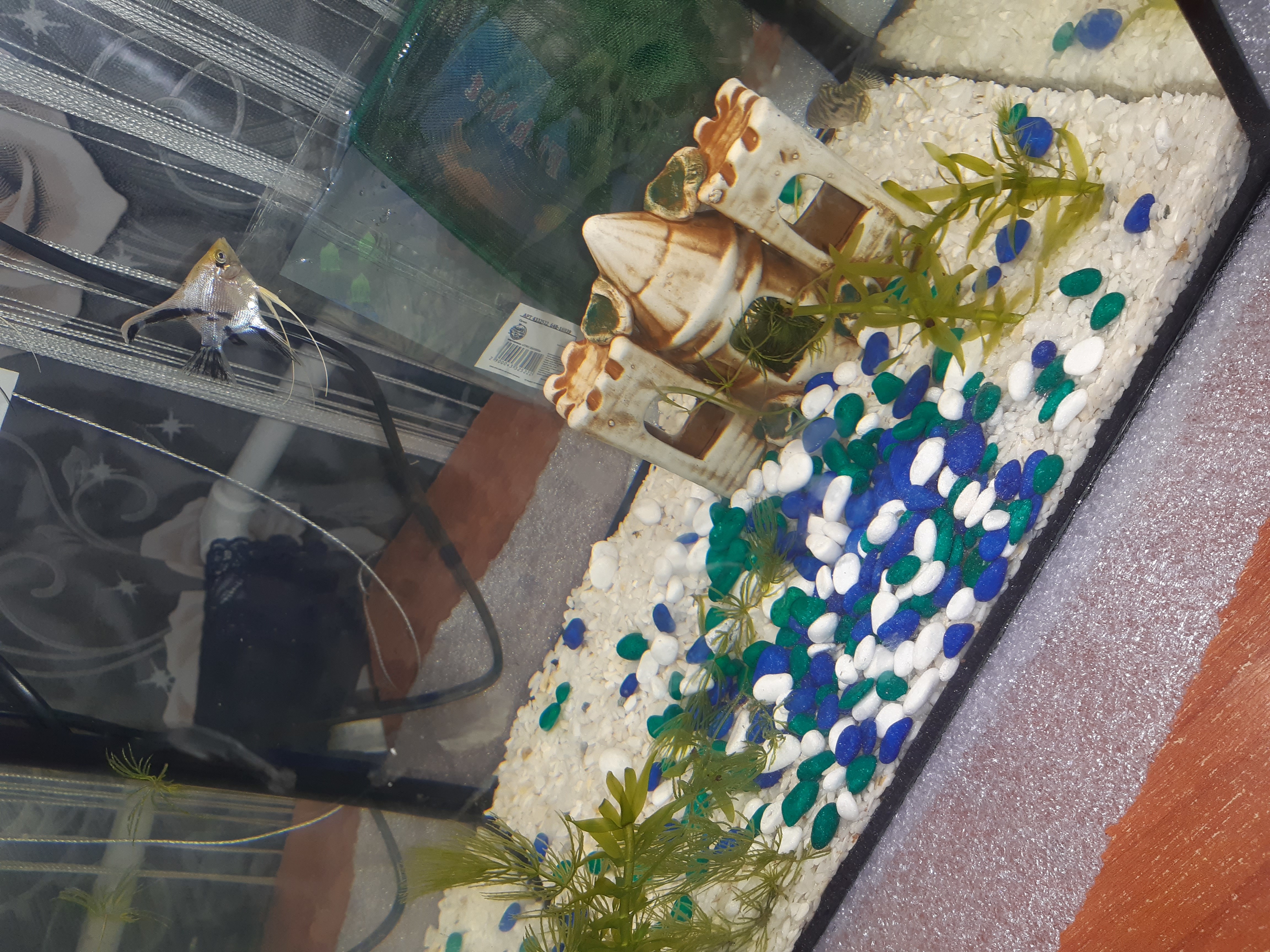 Фотография покупателя товара Грунт  для аквариума (5-10 мм), белый-темн.синяя-изумрудный, 350 г - Фото 1