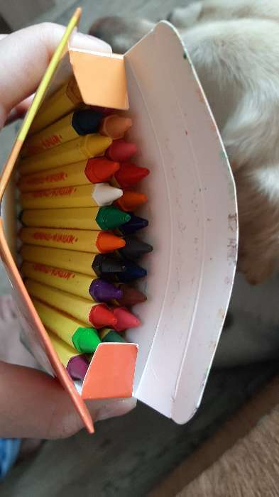 Фотография покупателя товара Мелки восковые 24 цвета Мульти-Пульти «Енот в Новой Гвинее», шестигранные, картонная упаковка, европодвес
