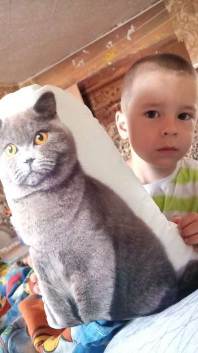 Фотография покупателя товара Подушка декоративная Этель «Кот» 33×40 см, велюр - Фото 9