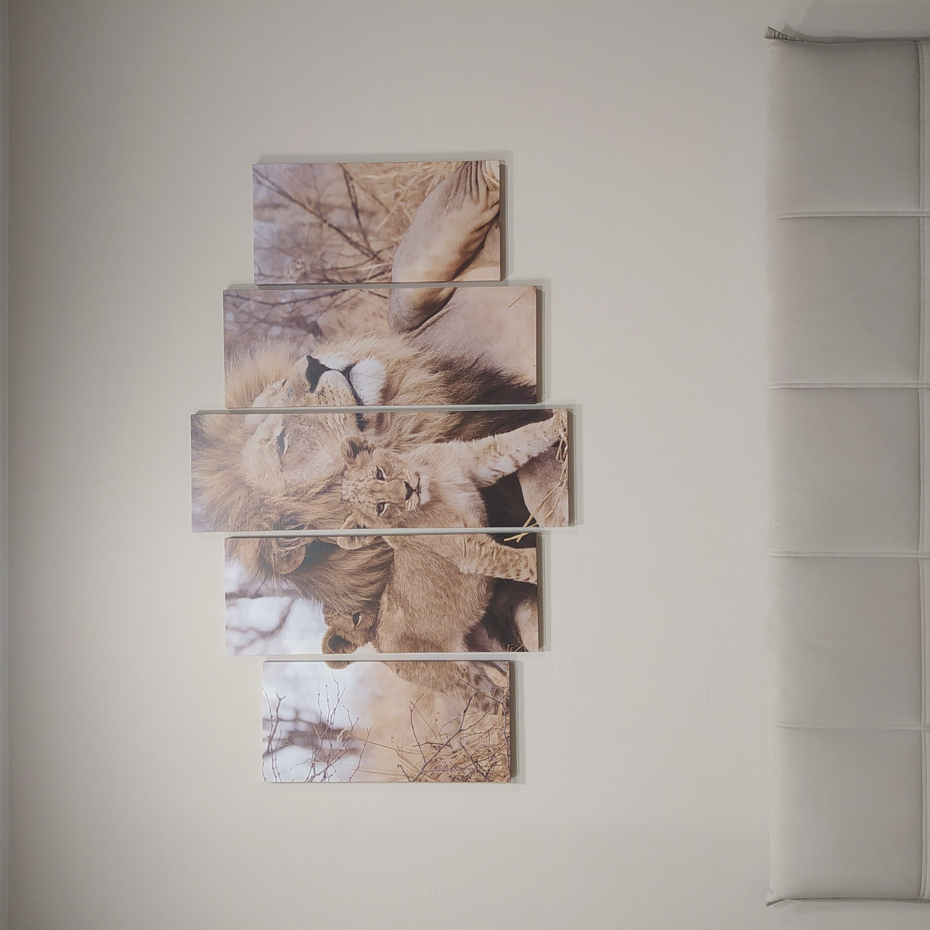 Фотография покупателя товара Картина модульная на подрамнике "Львиное семейство" 2-25х52, 2-25х66,5,1-25х80, 80*140 см - Фото 1