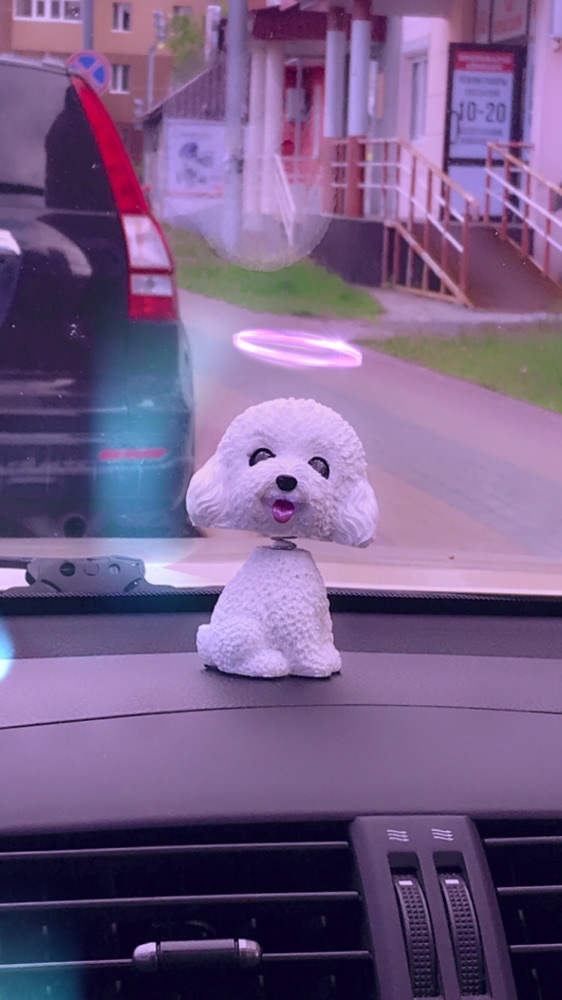 Фотография покупателя товара Собака на панель авто, качающая головой, пудель - Фото 1