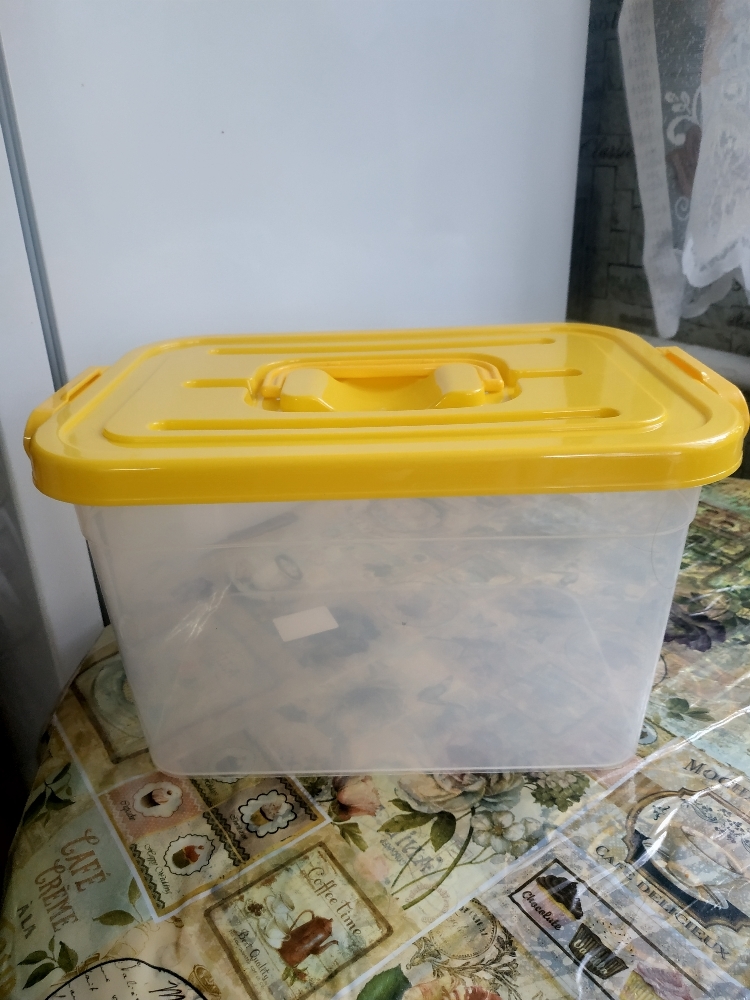 Фотография покупателя товара Контейнер для хранения с крышкой, 6,5 л, 31×20×18 см, цвет МИКС