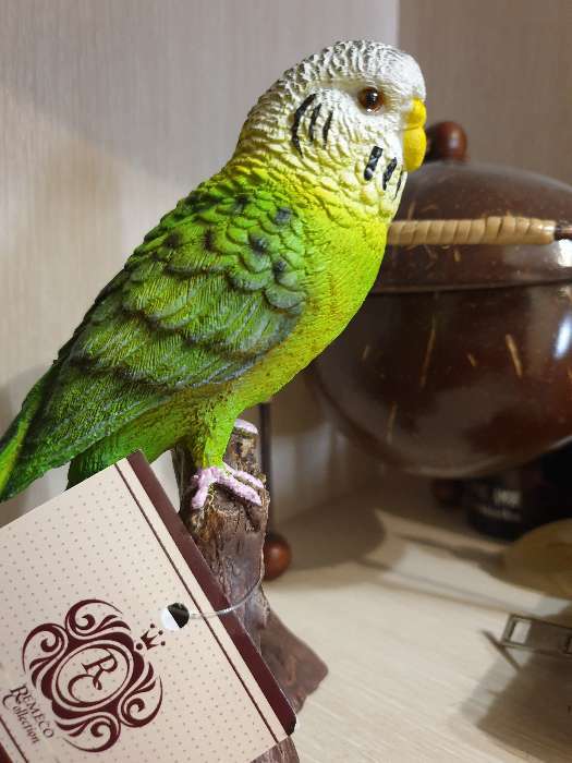 Фотография покупателя товара Фигура "Зеленый попугай" 9,5х8х16,5см - Фото 13