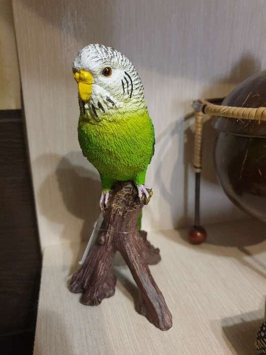 Фотография покупателя товара Фигура "Зеленый попугай" 9,5х8х16,5см - Фото 12
