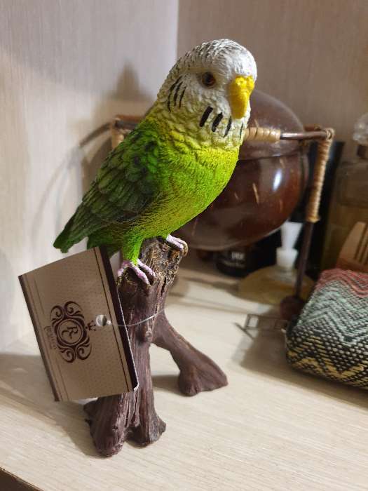 Фотография покупателя товара Фигура "Зеленый попугай" 9,5х8х16,5см - Фото 11